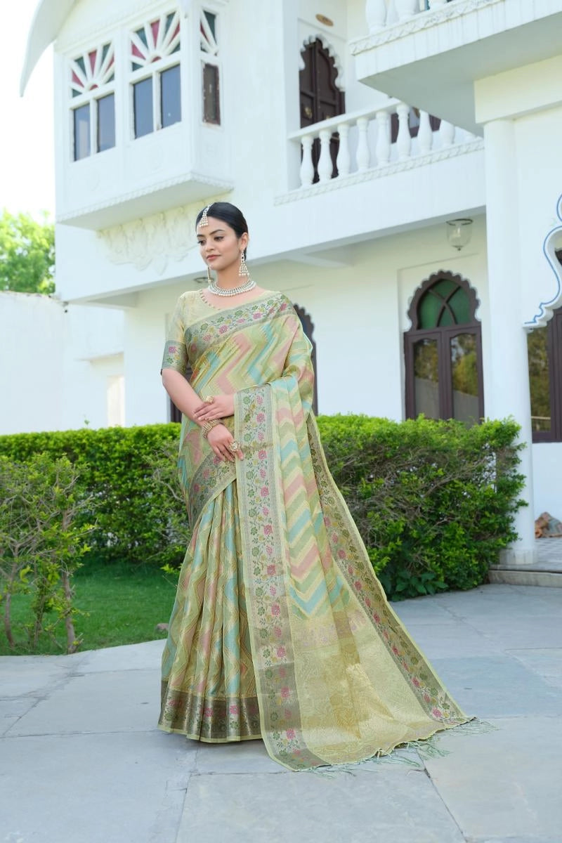Rangkat organza silk saree with zari weaving work