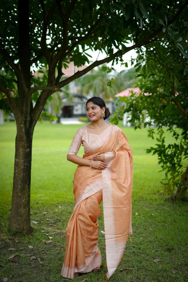 Laxipatita Tussar Silk Saree With Cheks Weaving Work