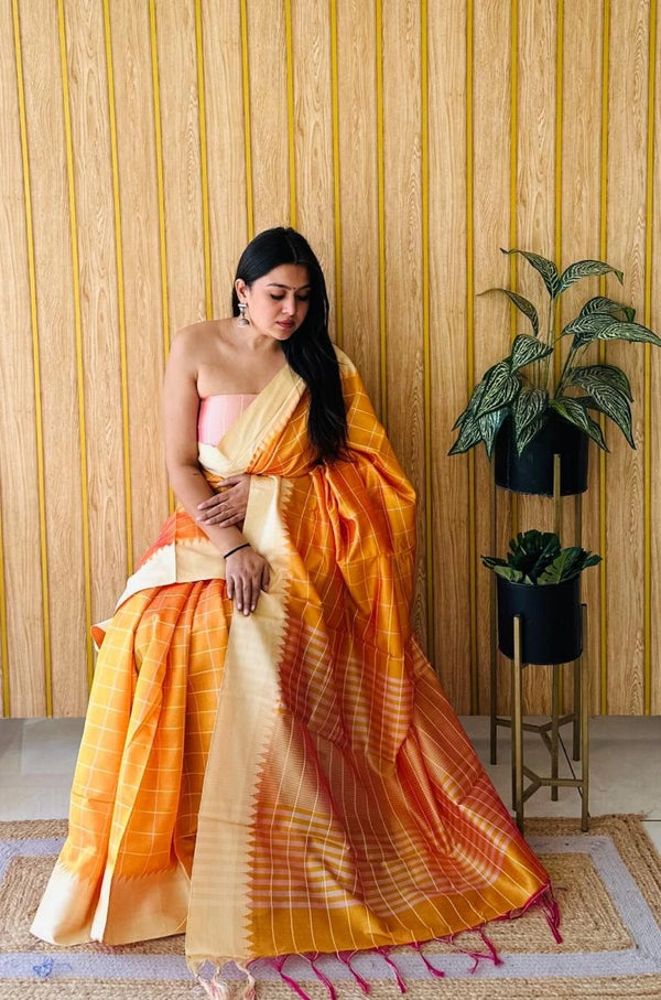Nayra raw silk saree with weaving temple border